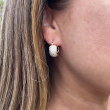Load image into Gallery viewer, 18k Gold Filled Micro Pave Cubic Zirconia Hoop Earrings (9mm)