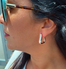 Load image into Gallery viewer, Luxury Jewelry, Sophisticate 18k Gold Filled Clicker Hoop Earrings Available in Rose Gold, Sivler And Gold