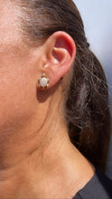 Load image into Gallery viewer, 18k Gold Filled Textured Baby Turtle Studs
