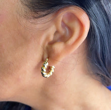 Load image into Gallery viewer, 18k Gold Filled Chunky Croissant Style Hoop Earrings, Very Light Hallowed
