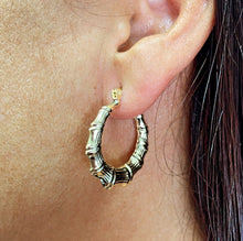 Load image into Gallery viewer, 18k Gold Filled Chunk Bamboo Hoop Earrings
