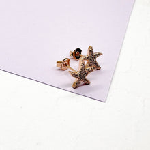 Load image into Gallery viewer, 18k Gold Filled Pave Star Fish Earrings
