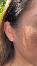 Load image into Gallery viewer, 18k Gold Filled Horse Shoe Zirconia Stone Stud Earring
