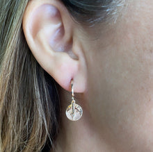 Load image into Gallery viewer, 18k Gold Filled World Map Medallion Set
