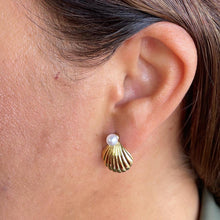 Load image into Gallery viewer, 18k Gold Filled Clam Stud Earrings with Pearl Engraved, Pearl Earrings, Shell Earrings,
