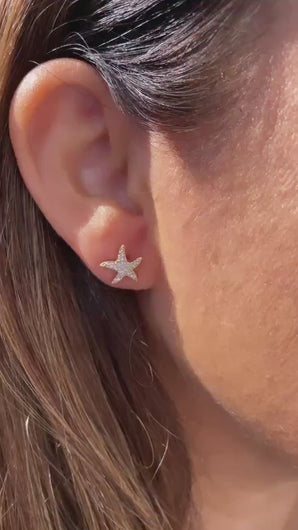 18k Gold Filled Pave Star Fish Earrings