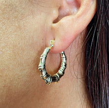 Load image into Gallery viewer, 18k Gold Filled Chunk Bamboo Hoop Earrings Wholesale Jewelry Supplies
